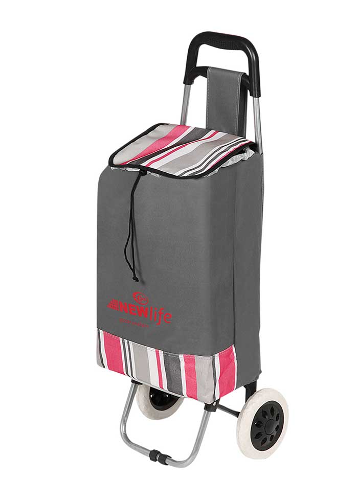 Modern Pazar Arabası